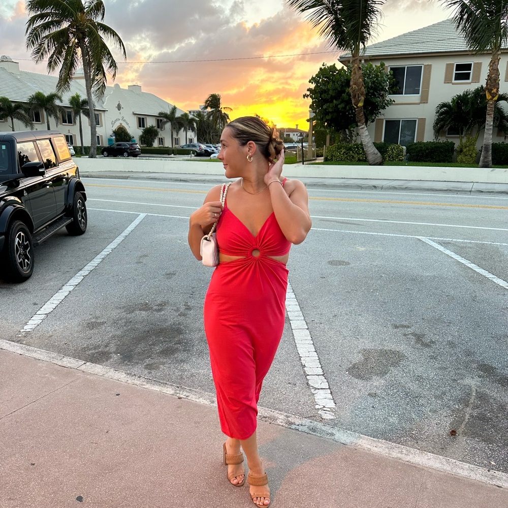 Walter Baker Rivka Midi dress